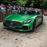Goodwood-Festival-Mercedes-AMG-GT-R-5